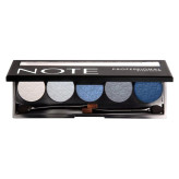 پالت سایه چشم نوت سری Professional Palette پنج رنگ