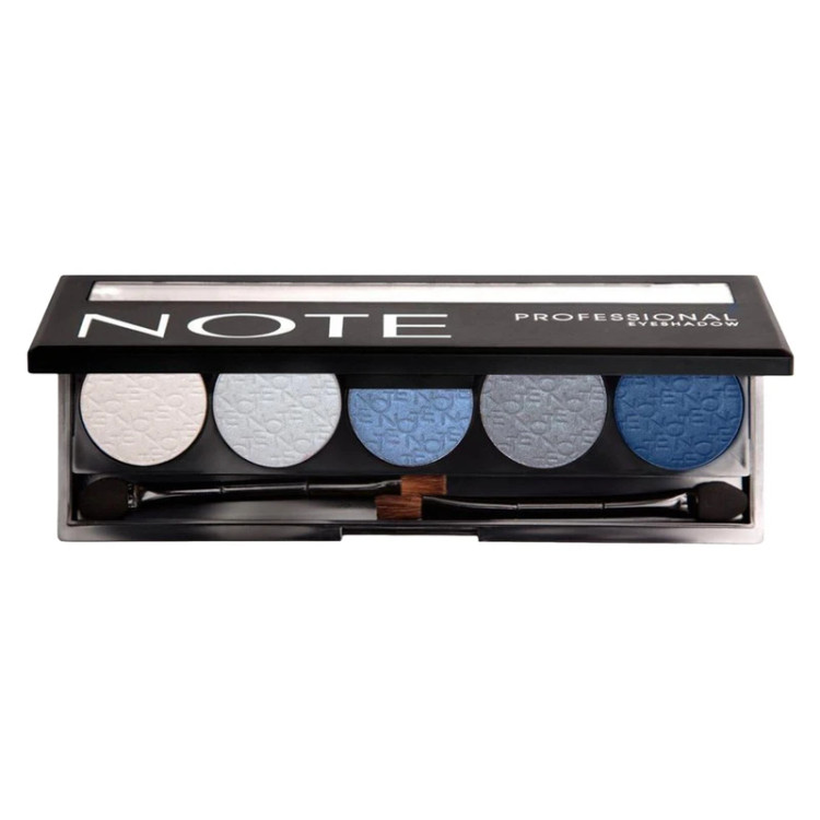پالت سایه چشم نوت سری Professional Palette پنج رنگ