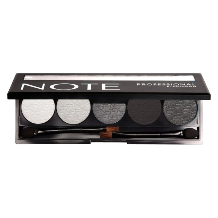 پالت سایه چشم نوت سری Professional Palette پنج رنگ