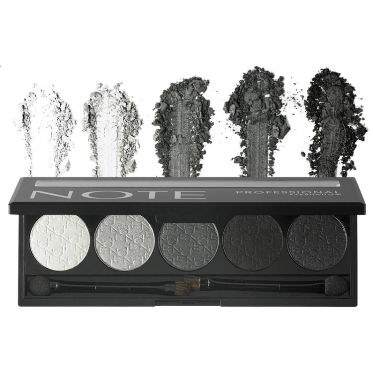 پالت سایه چشم نوت سری Professional Palette پنج رنگ