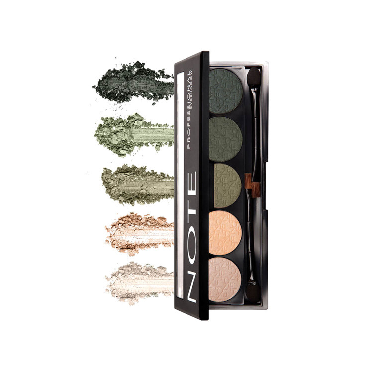 پالت سایه چشم نوت سری Professional Palette پنج رنگ