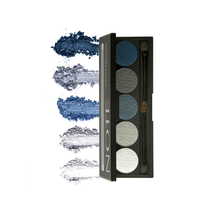 پالت سایه چشم نوت سری Professional Palette پنج رنگ