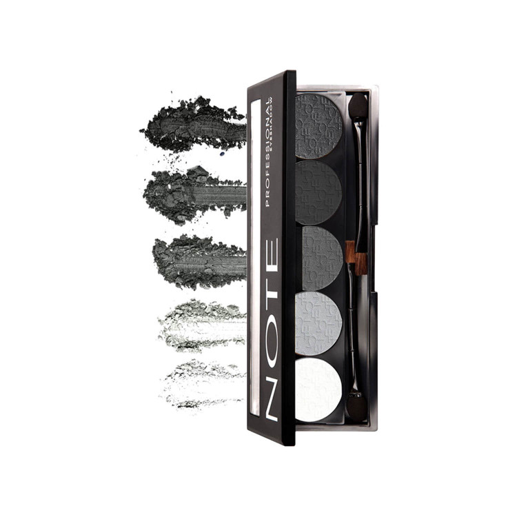 پالت سایه چشم نوت سری Professional Palette پنج رنگ